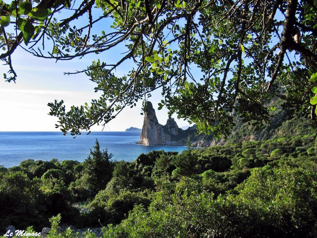 Appartamenti Le Mimose Santa Maria Navarrese Zimmer foto