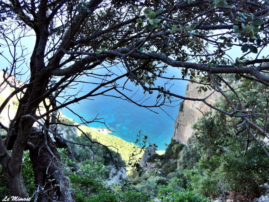 Appartamenti Le Mimose Santa Maria Navarrese Zimmer foto