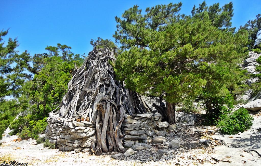 Appartamenti Le Mimose Santa Maria Navarrese Zimmer foto