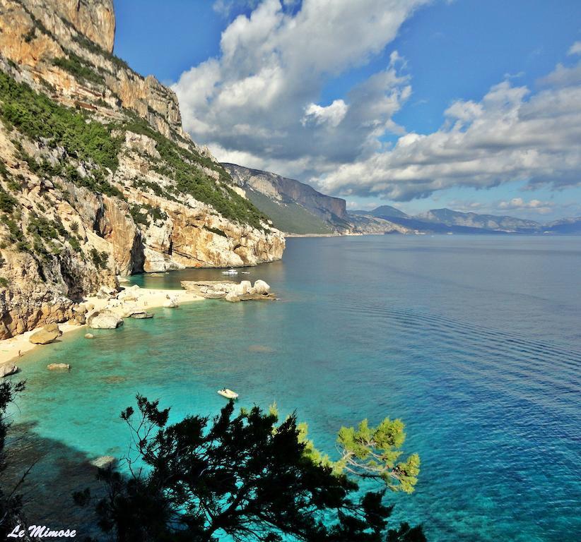 Appartamenti Le Mimose Santa Maria Navarrese Zimmer foto